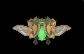 ドルンキータの画像