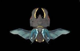 アルマスタッグの画像