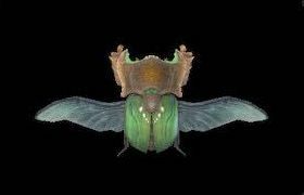 クルドローンの画像