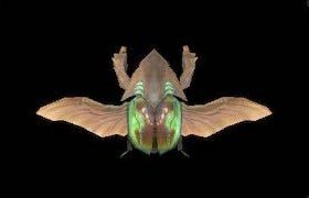 マルドローンの画像