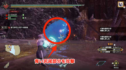 ヌシタマミツネ