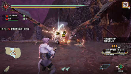 ヌシリオレウス