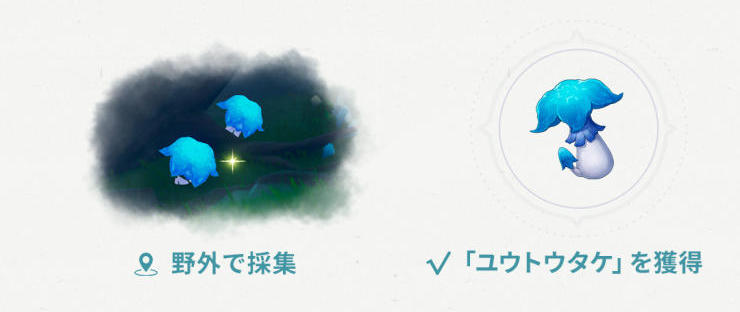 ユウトウタケ.jpg
