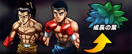 成長の葉拳魂売却