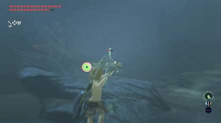 岩上のリザルフォス