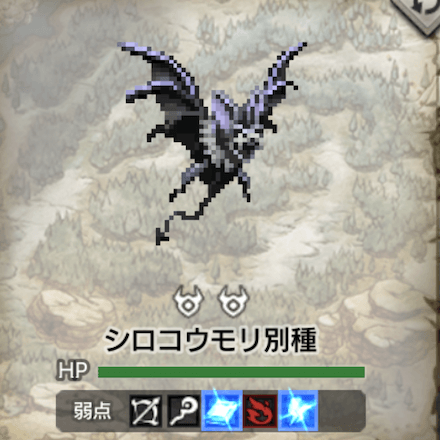 シロコウモリ別種