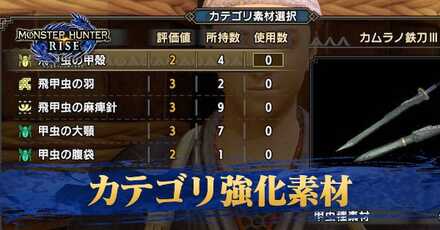 カテゴリ強化素材