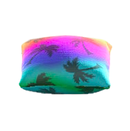 クッションのレインボーの画像