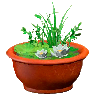 ビオトープのブラウンの画像