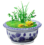 ビオトープの絵付けの画像