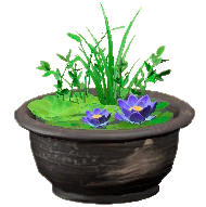 ビオトープのブラックの画像