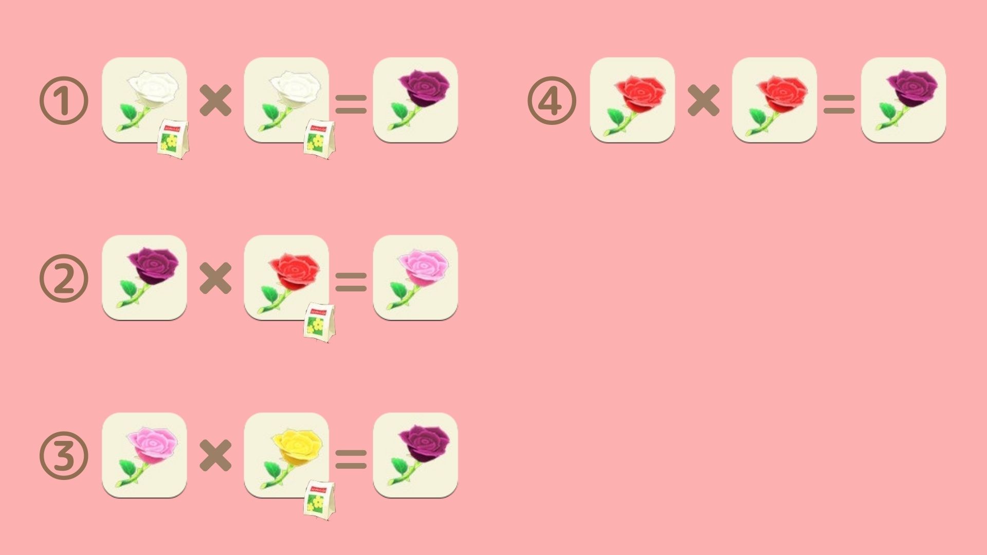 青いバラの後輩手順