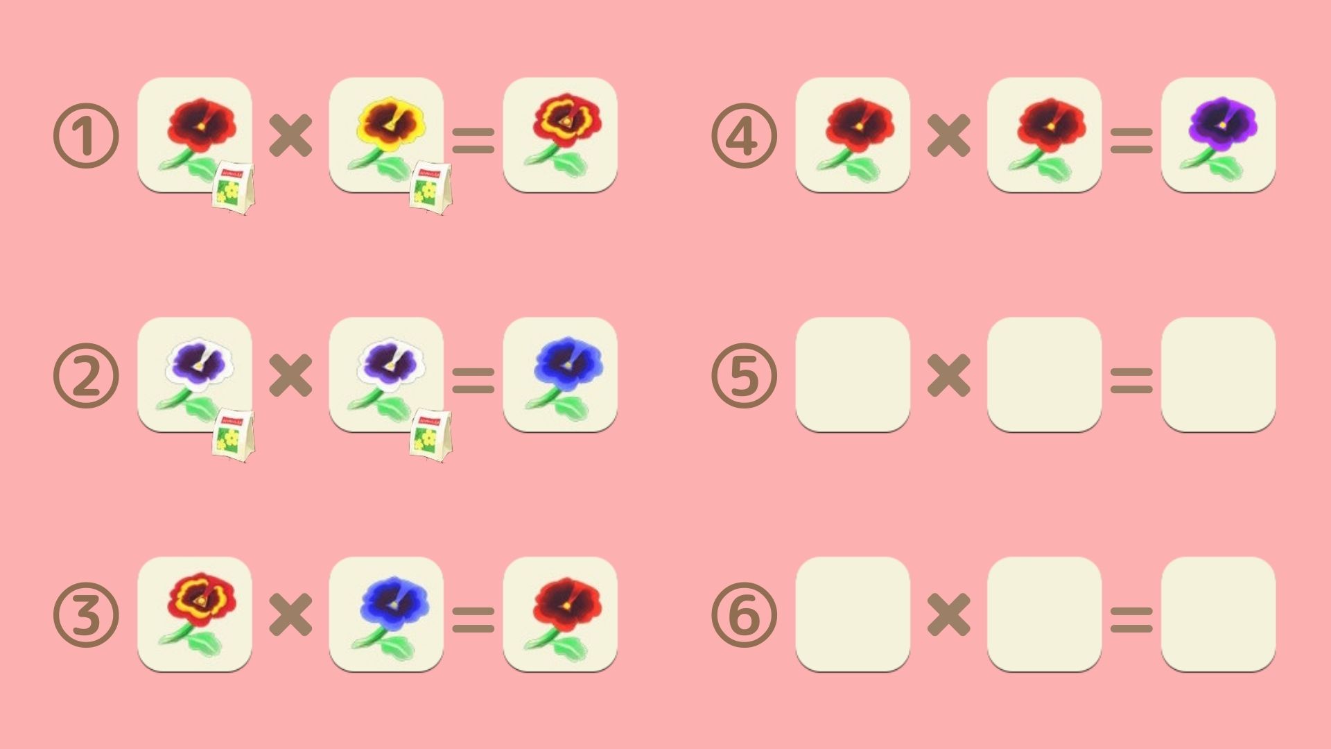 紫のパンジーの交配表