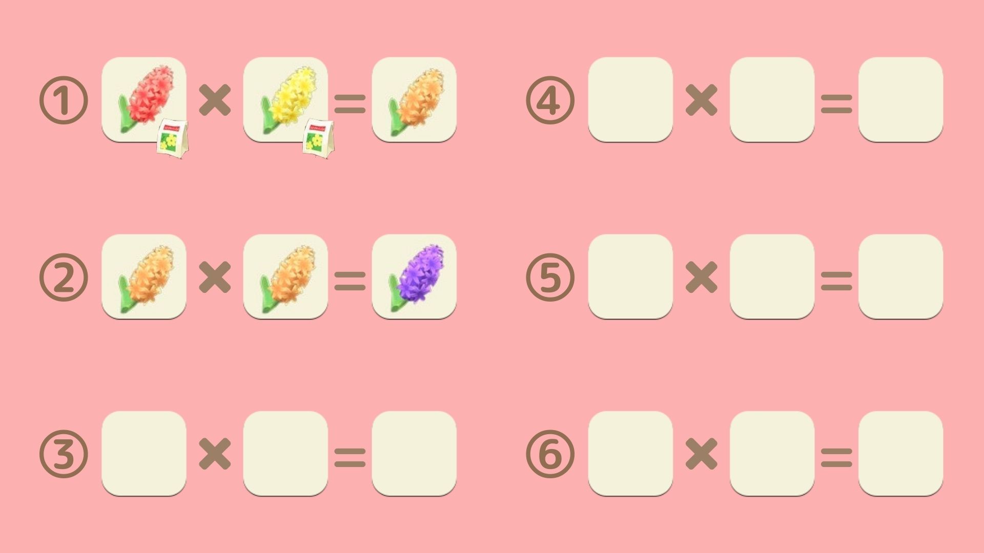 紫のヒヤシンスの交配表