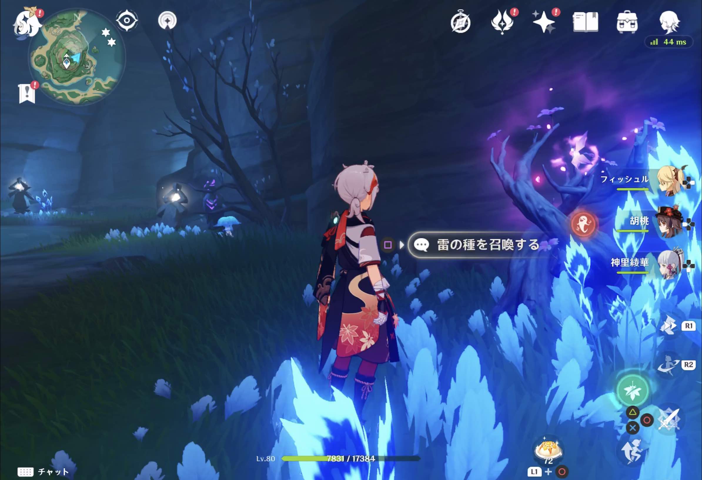 鶴観雷神の瞳27の詳細