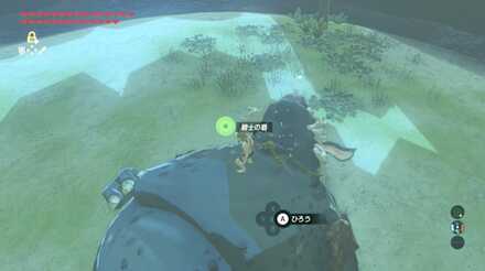 ブレスオブザワイルドの剣の試練序位12階の攻略画像1