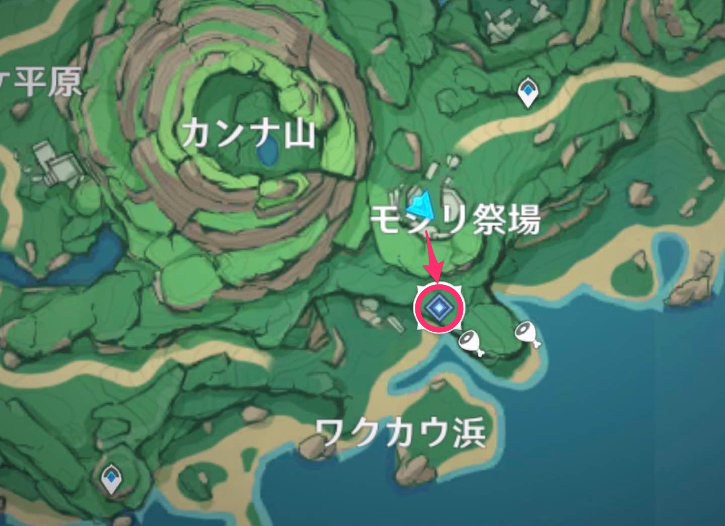 ワクカウ浜に行く