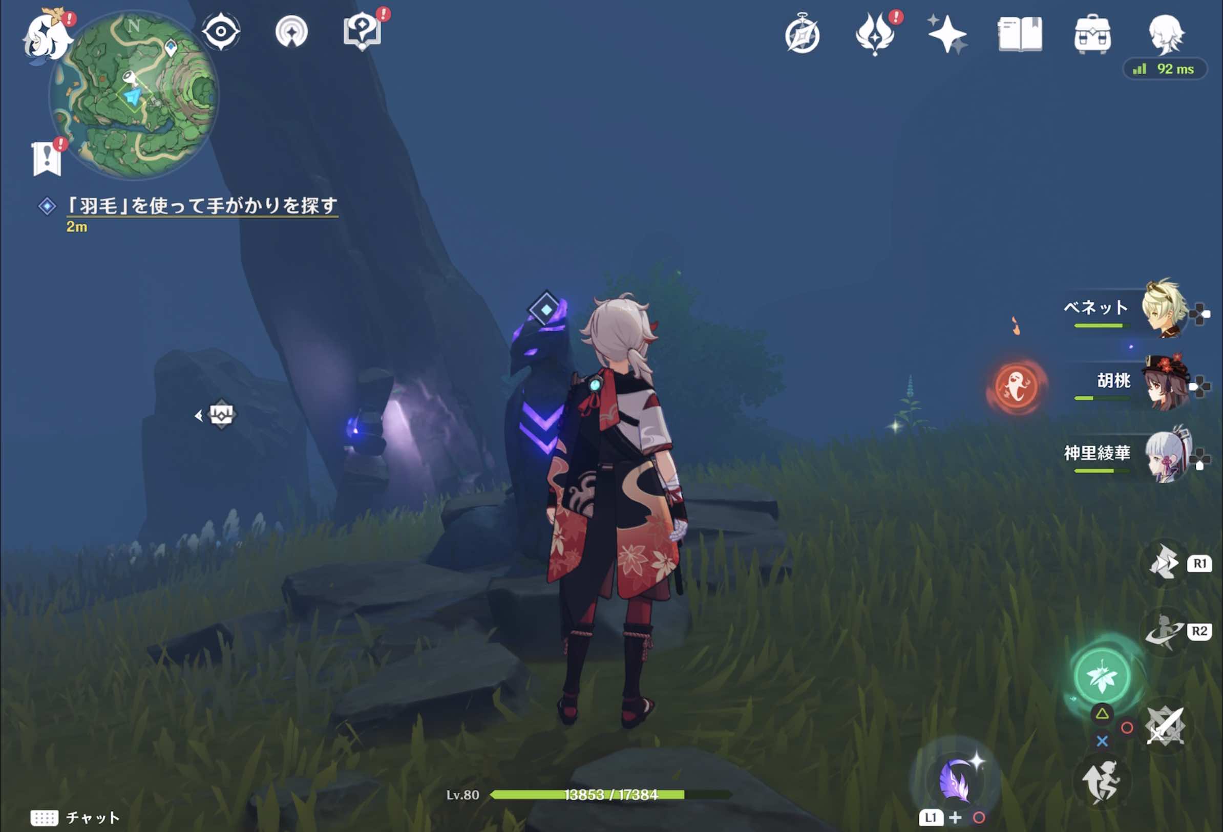 「羽毛」を使って手がかりを探す