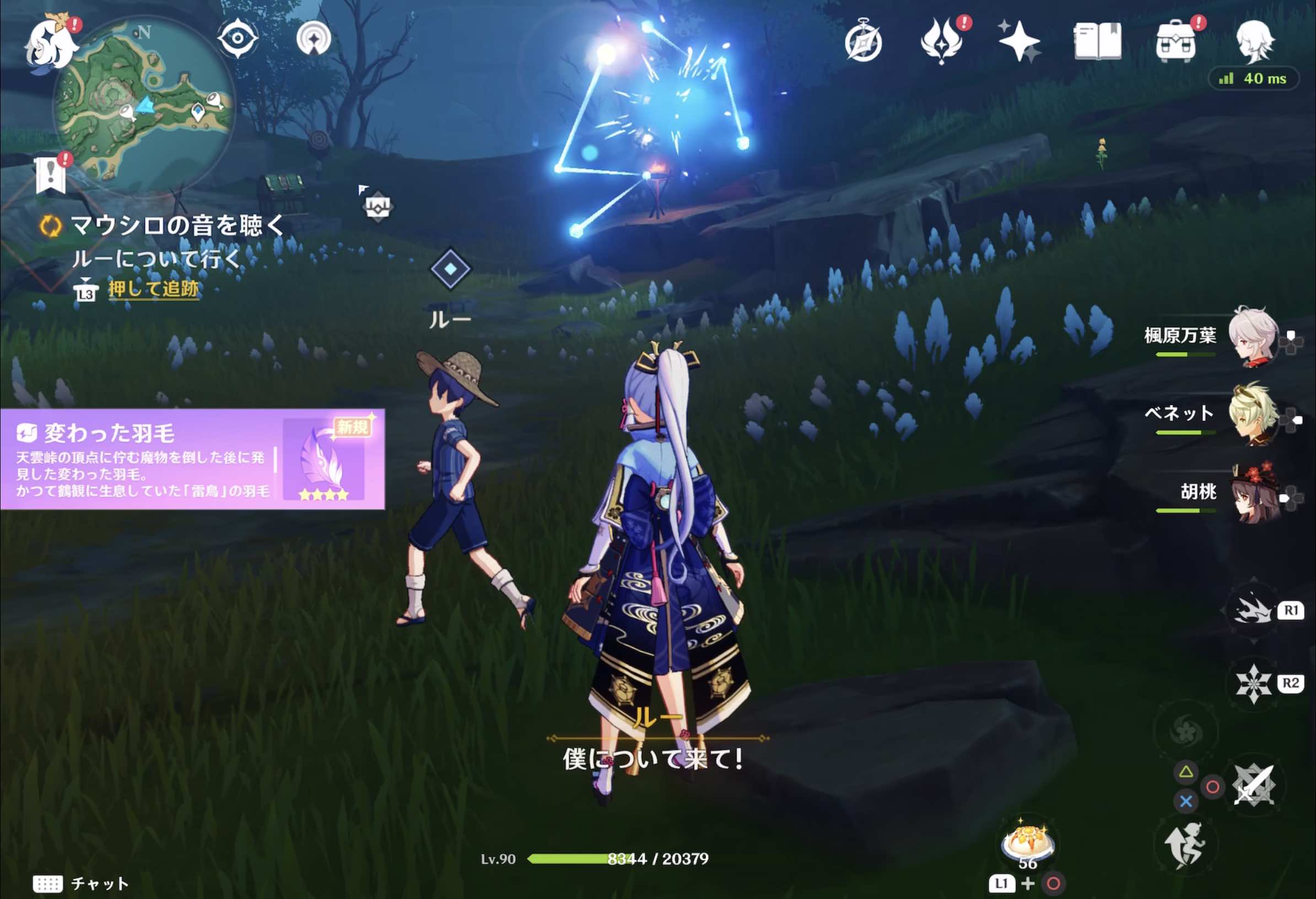 ルーについて行く