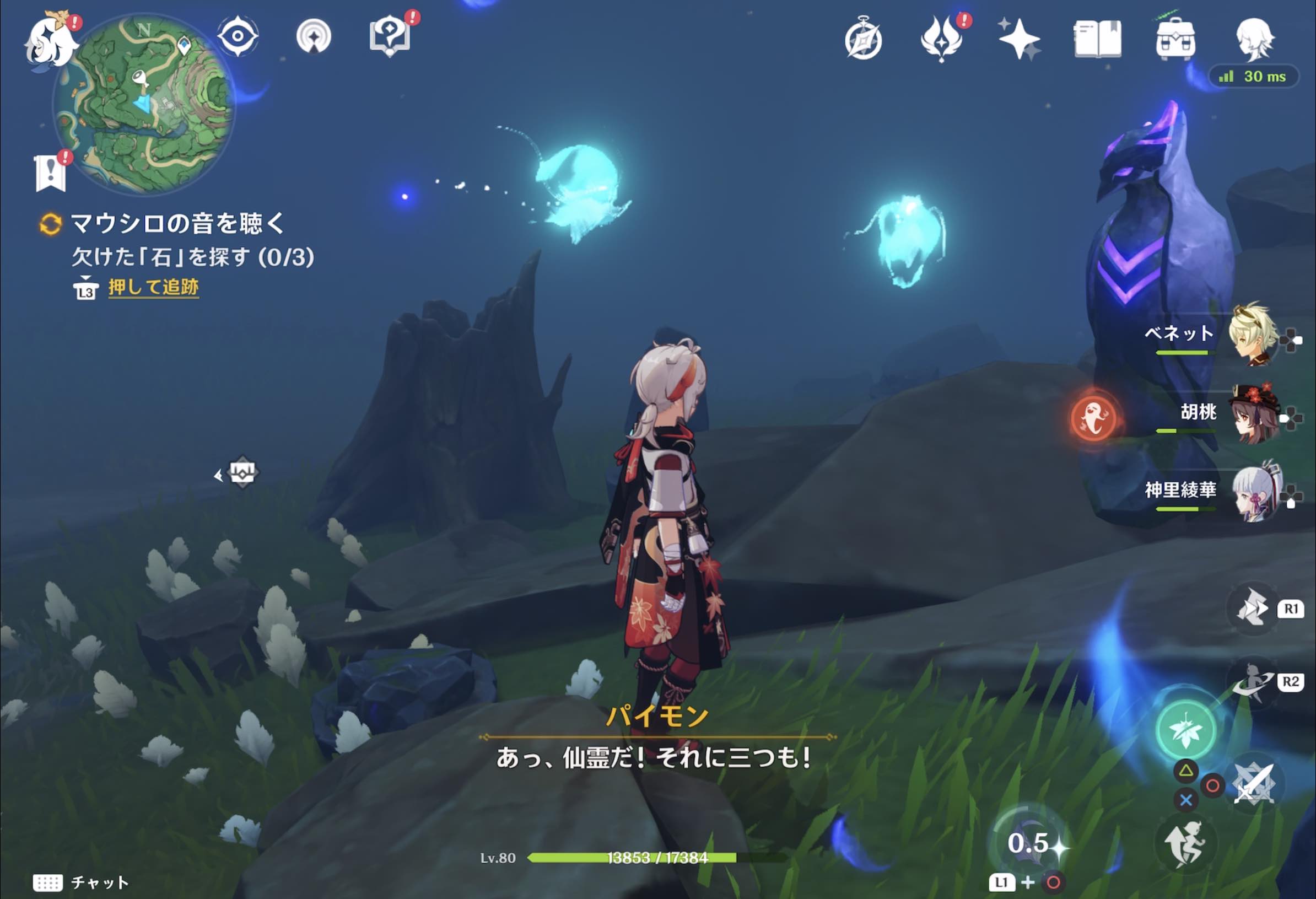 欠けた「石」を探す