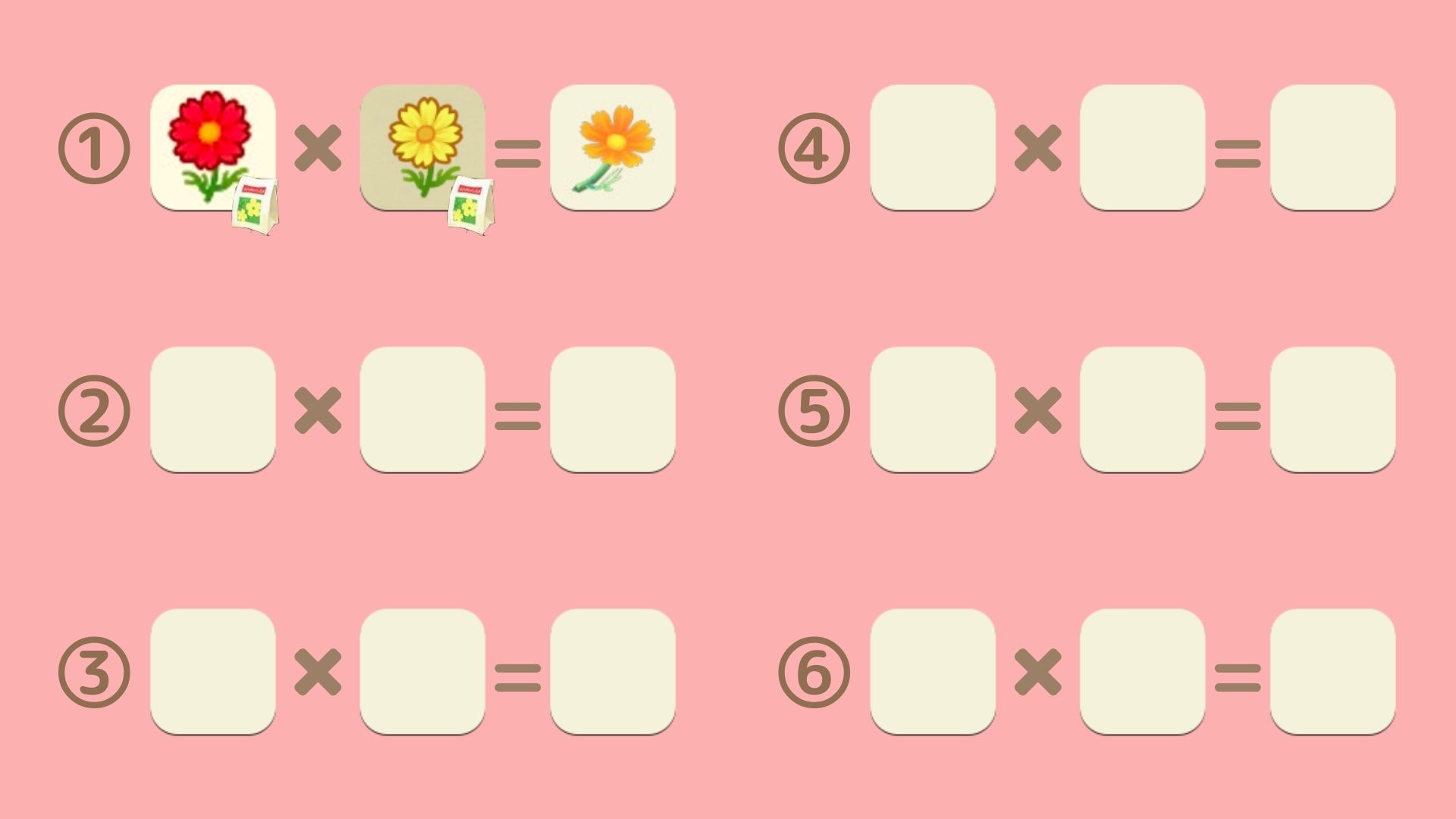 オレンジのコスモス