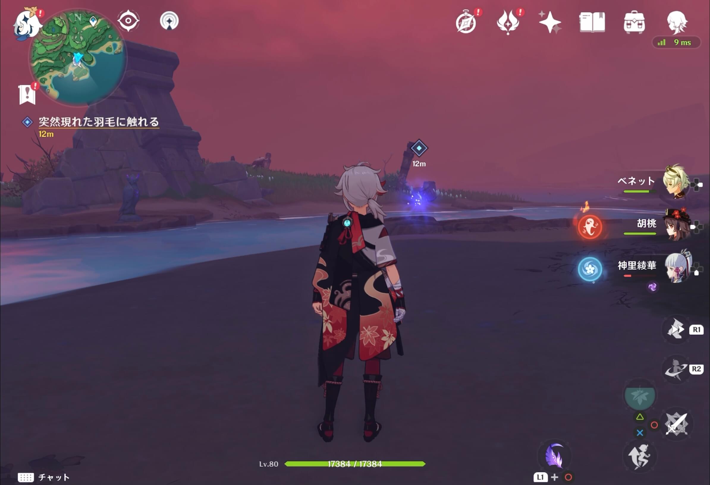 突然現れた羽毛に触れる