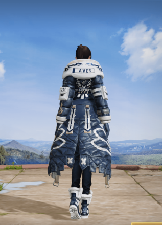 荒野プロチーム記念衣装-αD Aves画像