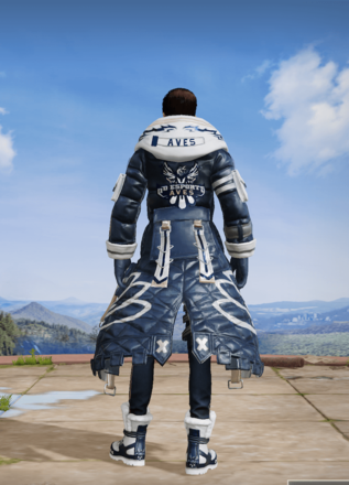 荒野プロチーム記念衣装-αD Aves画像