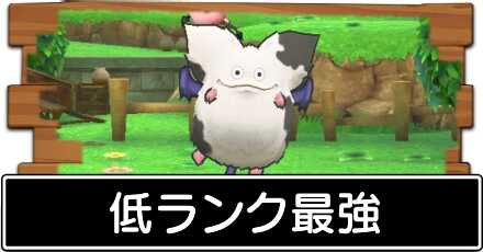 低ランク最強