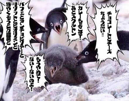 コメント画像