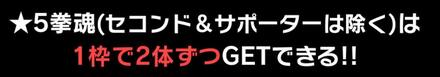強者の一撃星5拳魂
