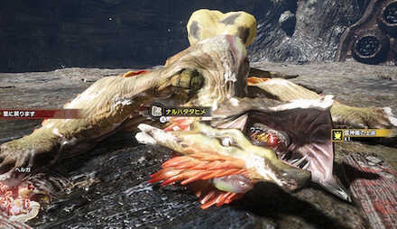 雷神再臨討伐時