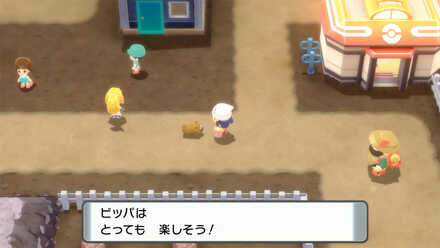 ビッパの連れ歩き