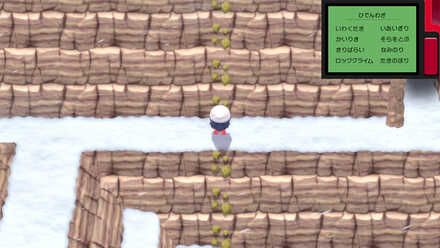 ポケッチからひでんわざを使用