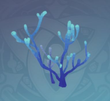 「瓶覗きのサンゴ」の画像