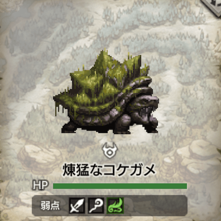 煉猛なコケガメ