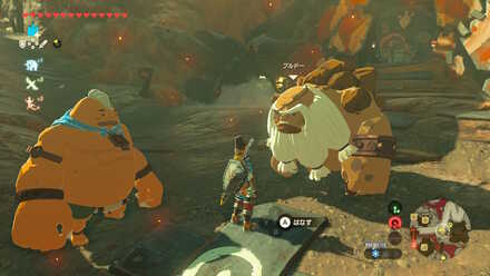 ブレワイのヴァルーダニア攻略