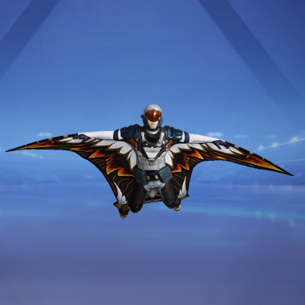 飛行服：光と夜