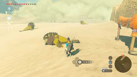 ブレワイのスナザラシ