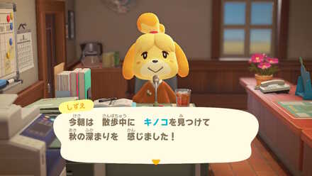 放送を聞かない限りきのこは増えない