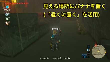 ブレワイのイーガ団のアジト攻略