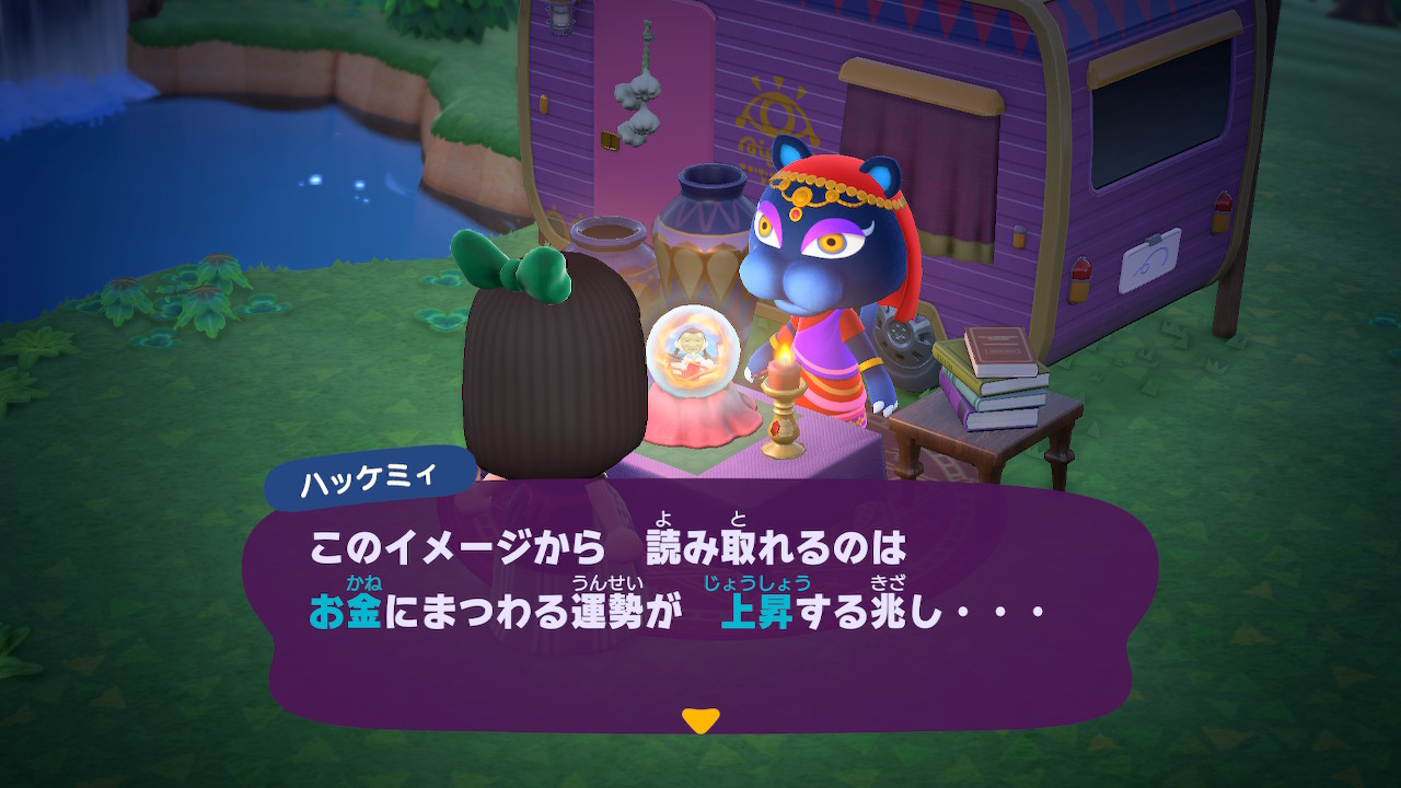 ハッケミィの画像