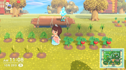 収穫後は2日おきに収穫できる