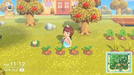 毎日水をあげると収穫量が増える