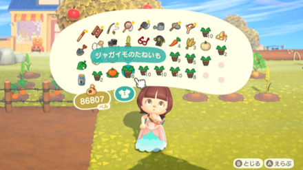 持ち物から野菜を選択して植える