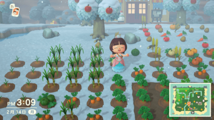 売ってお金稼ぎに使う