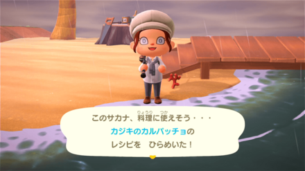 魚を釣った時に覚える