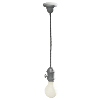 はだかでんきゅうのシルバーの画像