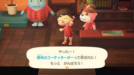 期待のコーディネーター