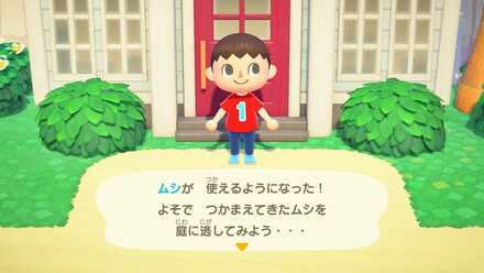 ハッピーホームパラダイスのクリア後要素「庭に虫を放せるようになる」画像